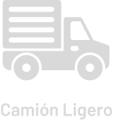 Vehículo Camión Ligero